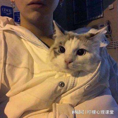 幻剑修仙无限元宝版下载